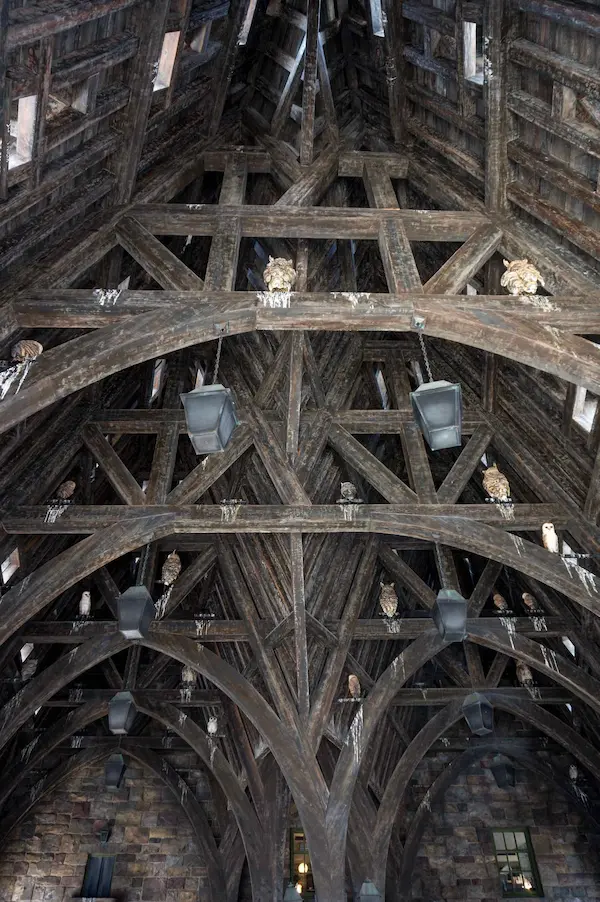 Owls on the roof